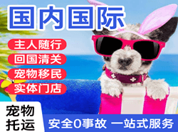 兰州航空邮寄国际宠物托运 【国